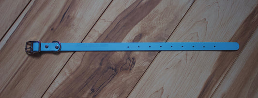 Dog Collar